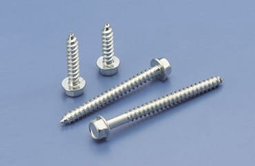 Stainless Steel Grade 310 Bolts/Screw